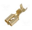 konektor-zasuvka-plocha-mosaz-95-x-12